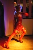 Image Copyright Mikki