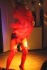 Image Copyright Mikki